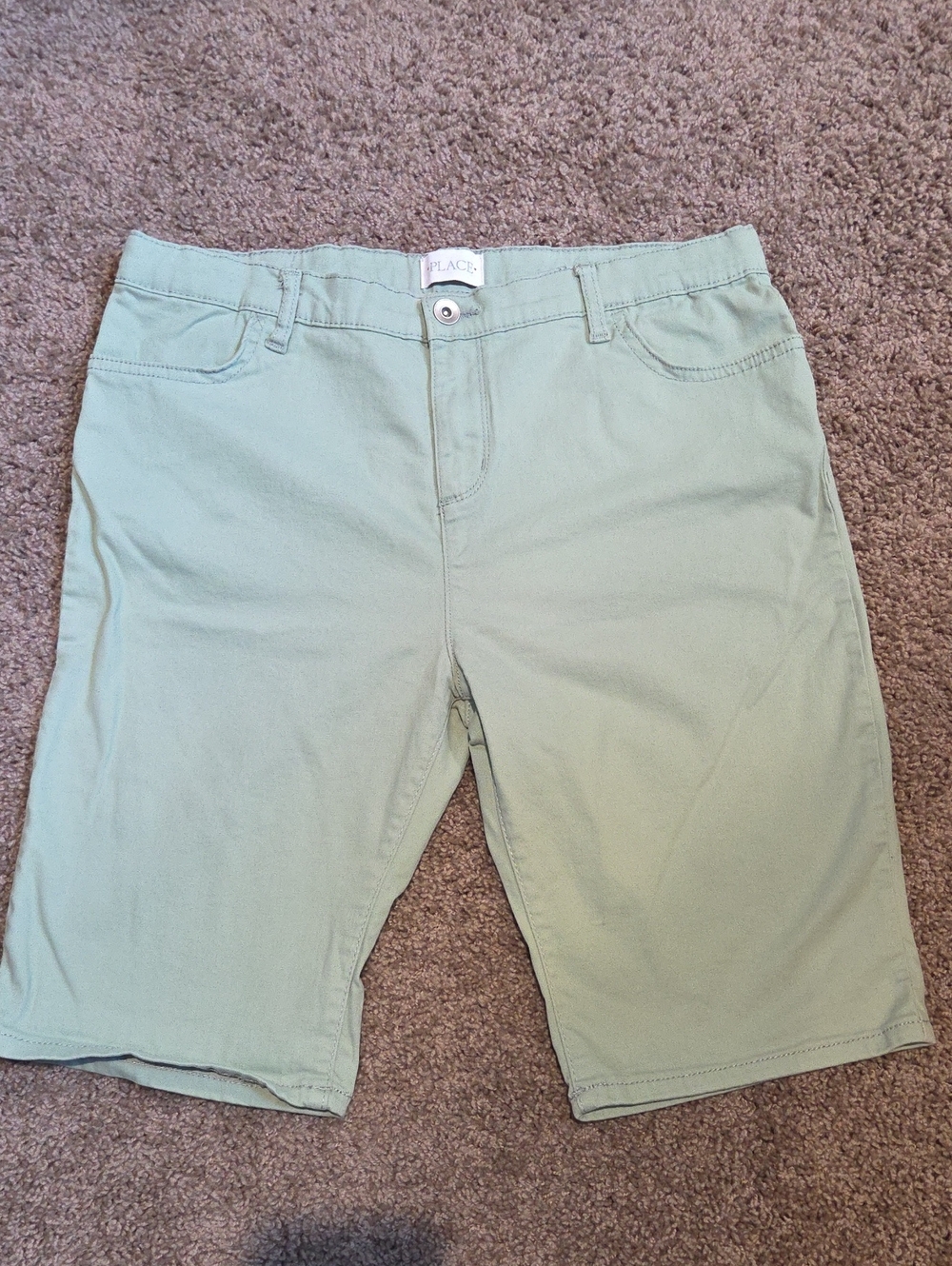 The Children's Place Girls Mint Green Flat Front Shorts
